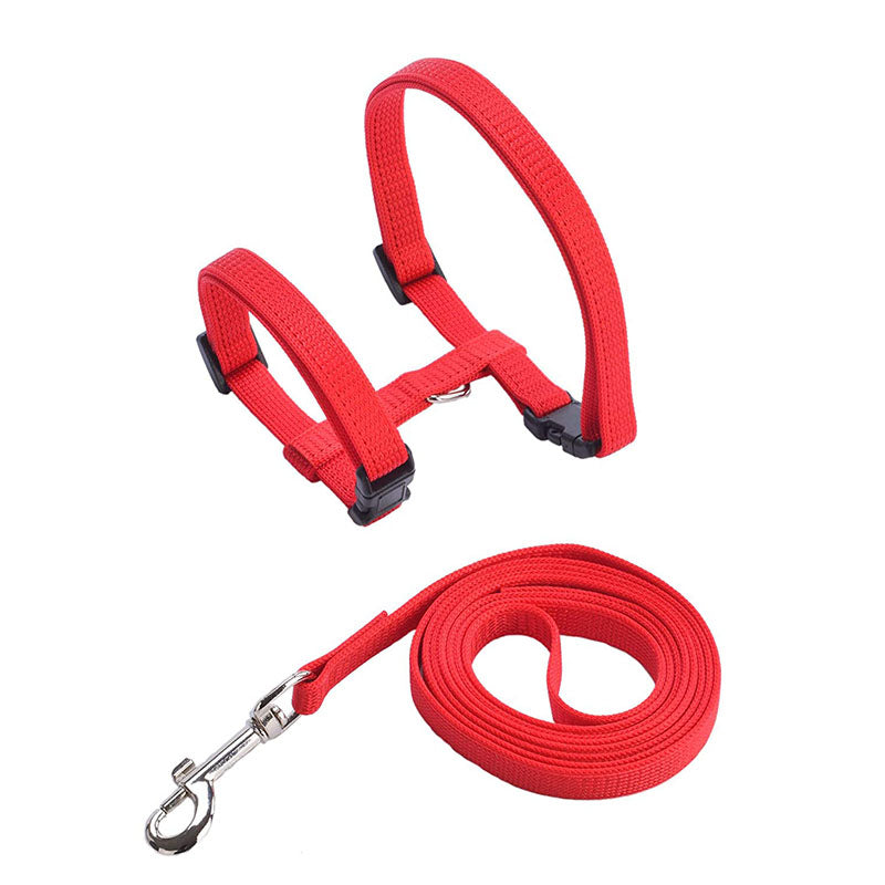 Everlab Cat Harness Collar and Leash For Pet Cat Outdoor Walking