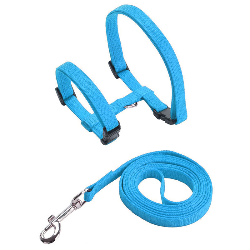 Everlab Cat Harness Collar and Leash For Pet Cat Outdoor Walking