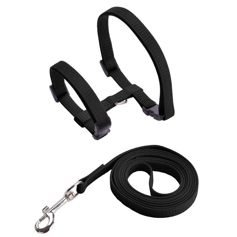 Everlab Cat Harness Collar and Leash For Pet Cat Outdoor Walking