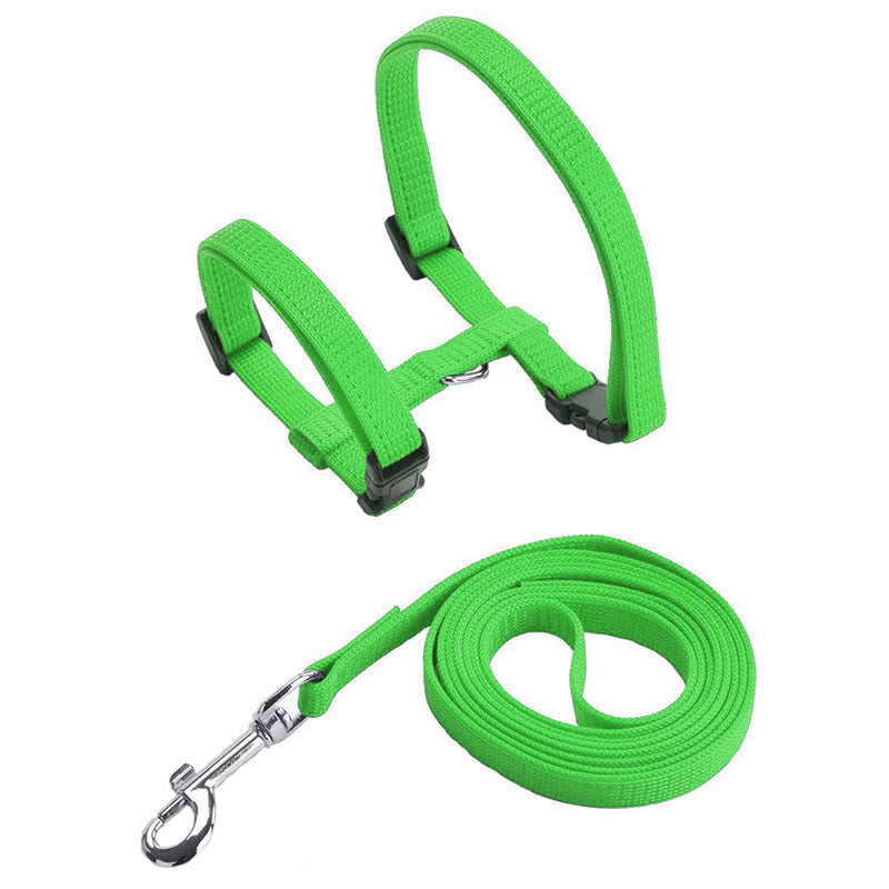 Everlab Cat Harness Collar and Leash For Pet Cat Outdoor Walking