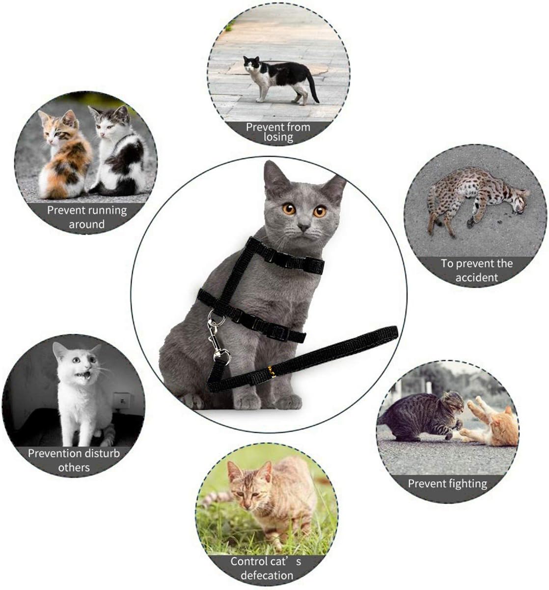 Everlab Cat Harness Collar and Leash For Pet Cat Outdoor Walking